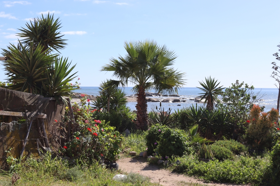0 Bedroom Property for Sale in Steenbergs Cove Western Cape